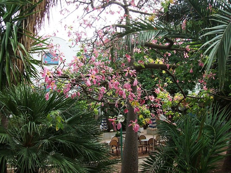 Hotel Azzolini Villagrazia Di Carini Dış mekan fotoğraf